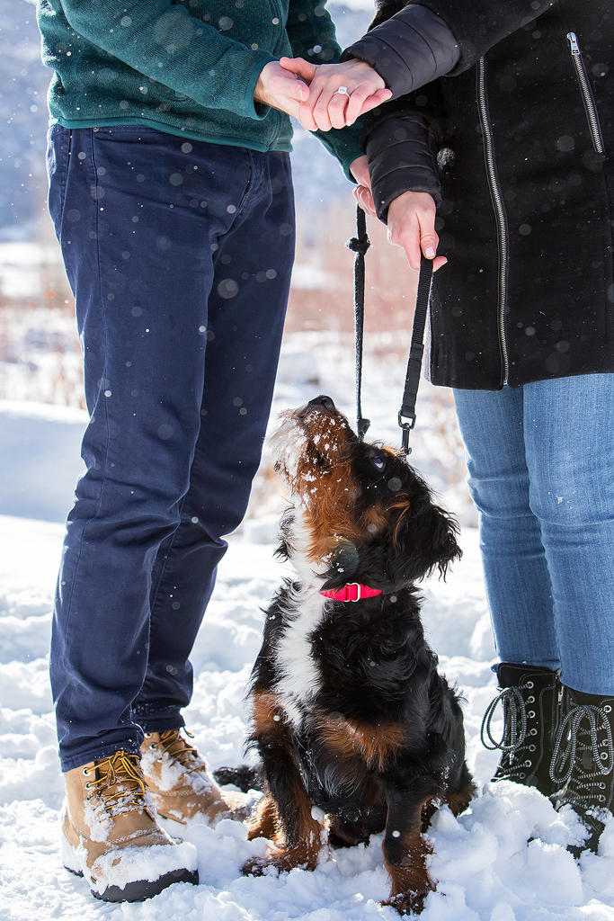 Close-up of Elizabeth’s engagement ring and their dog with snow flying in the air in Colorado.